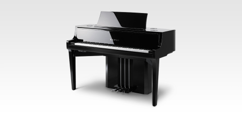 Kawai NV10S