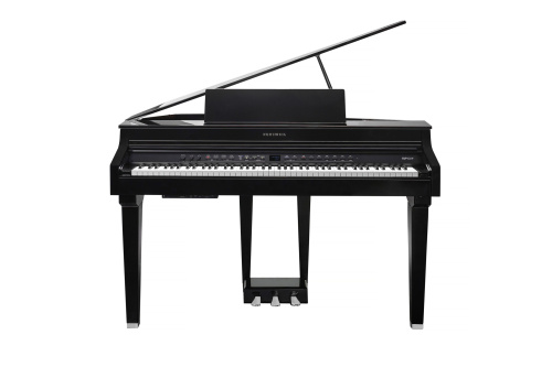 Kurzweil CUP G1W BP фото 3
