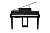 Kurzweil CUP G1W BP