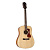 Guild D-240E NT
