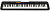 Casio CT-S100