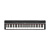 Yamaha P-125B