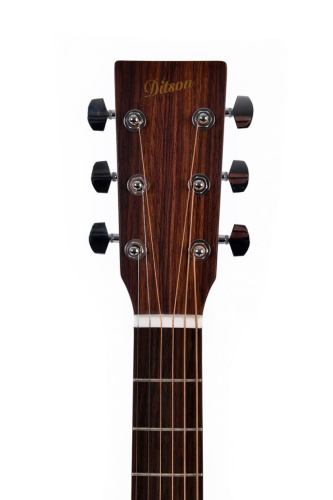 Ditson D-10 фото 2