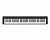 Casio CDP-S160BK