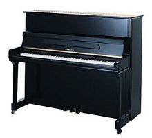 Samick JS121MD EBHP