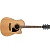 Ibanez PF17ECE-LG