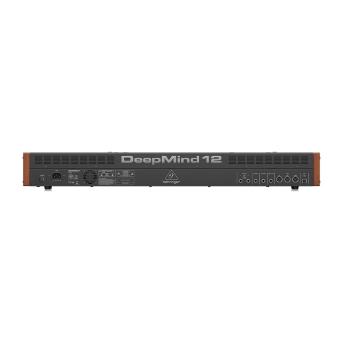 Behringer Deepmind 12 фото 2