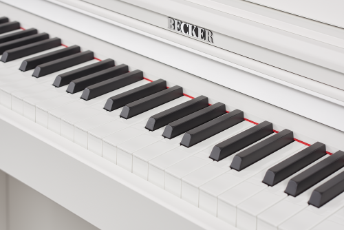 Becker BDP-92W фото 4