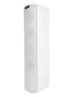 Intrend ITSPK-43T-W