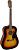Fender CD-60 Dread V3 DS SB WN