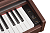Becker BDP-92R