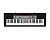 Casio CTK-1500