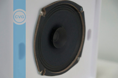 CVGaudio WPS6T фото 7