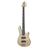 Schecter OMEN EXTREME-5 GNAT