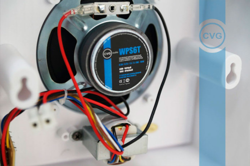 CVGaudio WPS6T фото 3