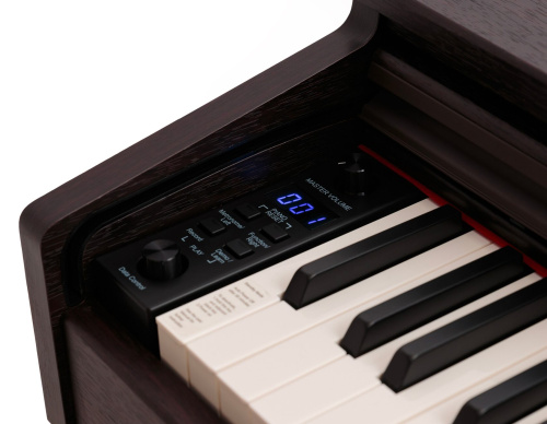 Rockdale Etude 128 Graded Rosewood фото 3