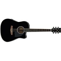 Ibanez PF15ECE-NT