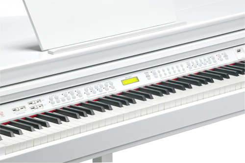 Kurzweil KAG100 WHP фото 2