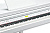 Kurzweil KAG100 WHP