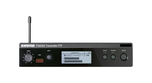 Shure P3TER M16 фото 5