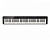 Casio PX-S3100 BK