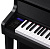 Casio GP-310BK