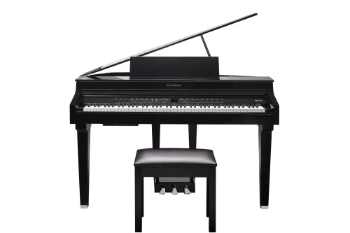 Kurzweil CUP G1W BP