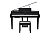 Kurzweil CUP G1W BP