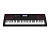 Casio CT-X3000