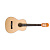 Fender ESC105
