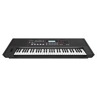 Roland E-X50