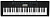 Casio CTK-1250