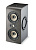 Focal Shape TWIN